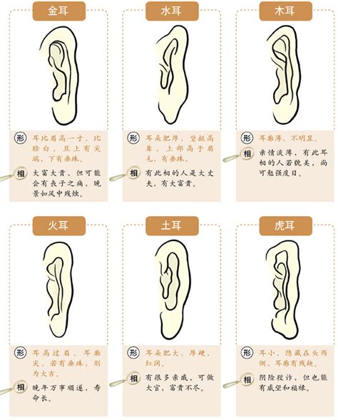 耳朵长痘痘风水|十六种耳朵面相图文分析三六风水网